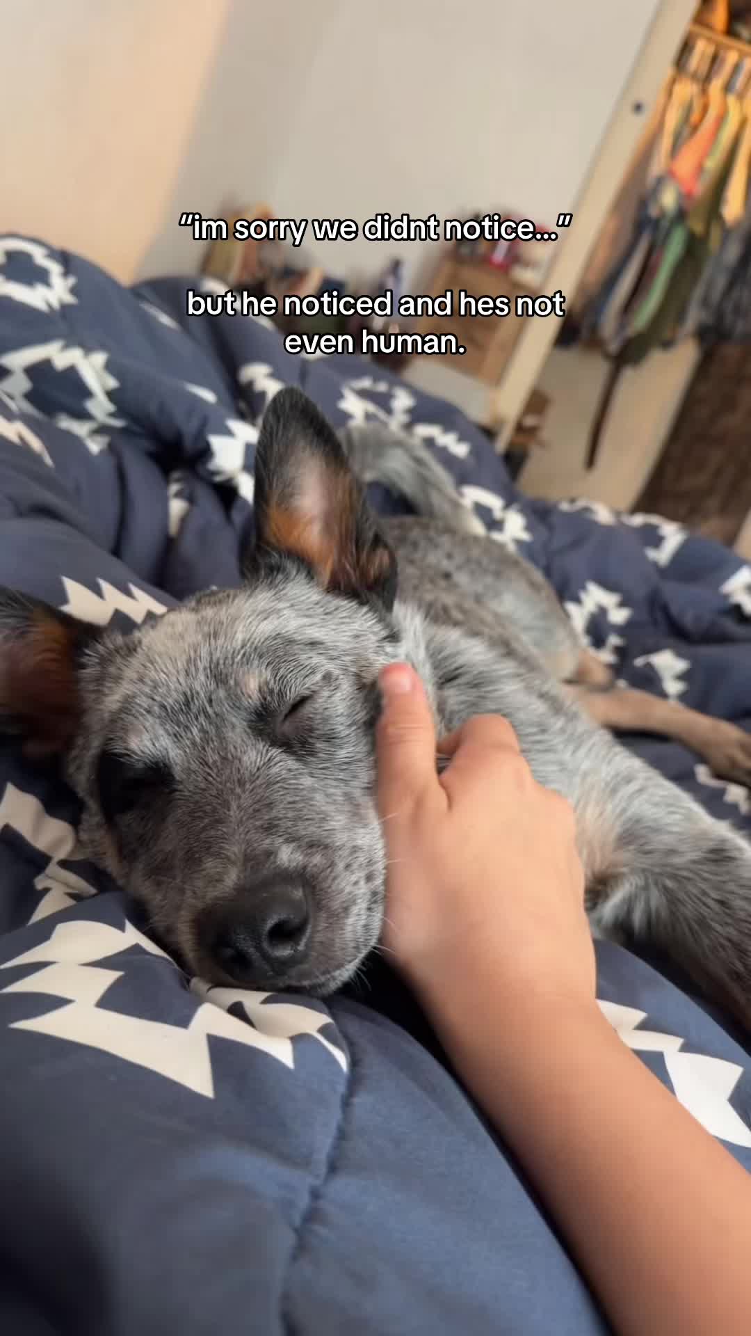 @dozer 🐾💞