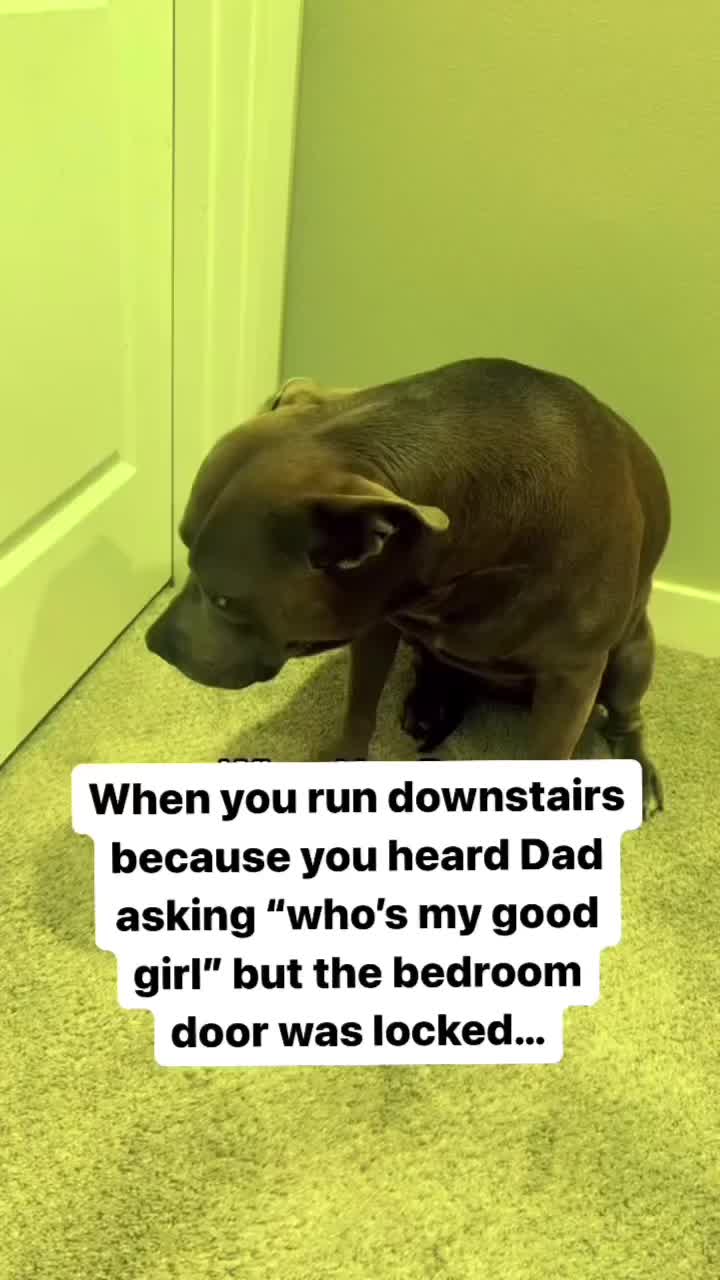 @Ricotrap