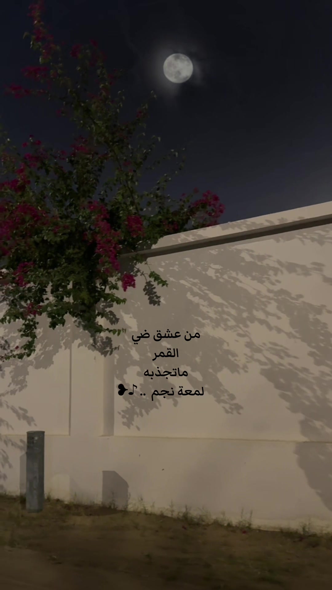 @أريج  العتيبي🤍