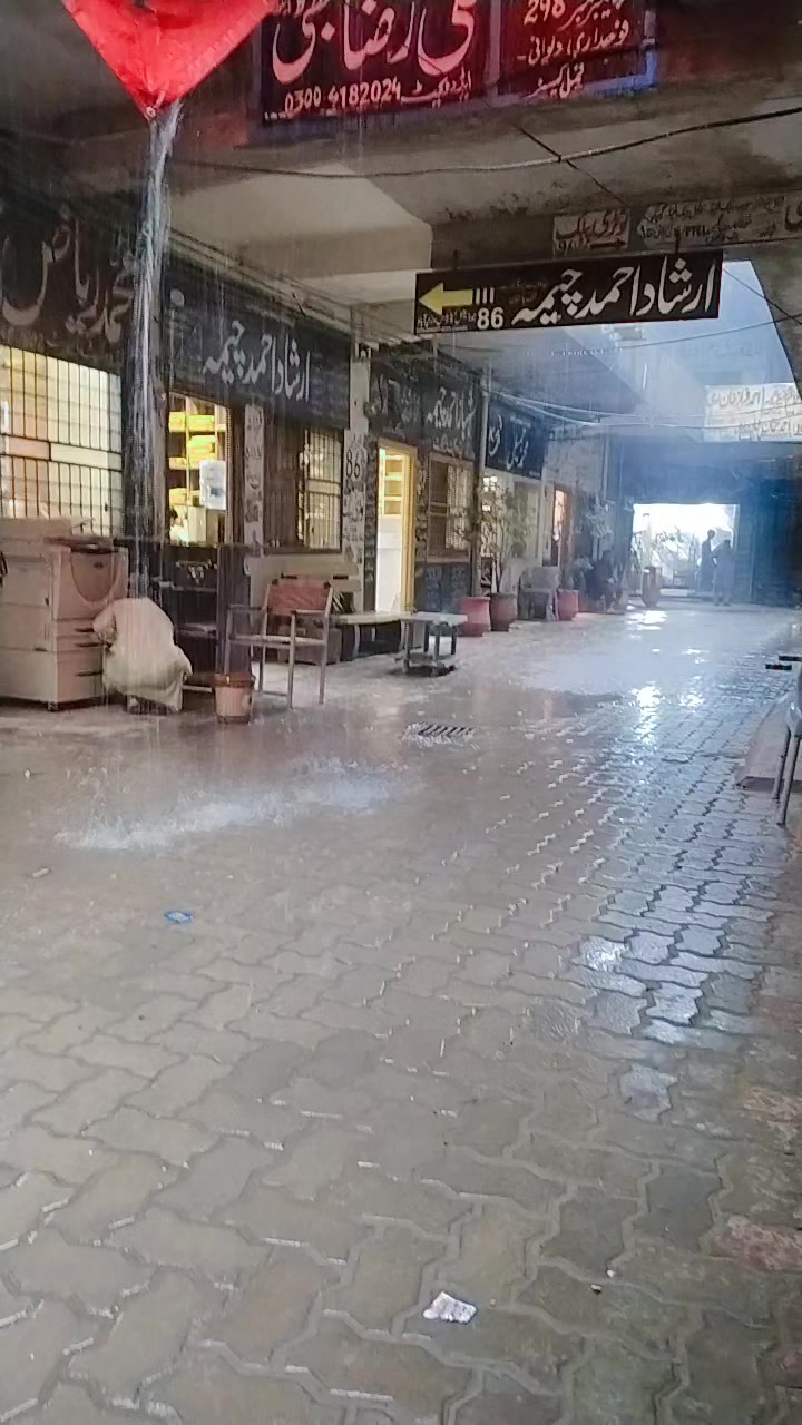 @03130519250