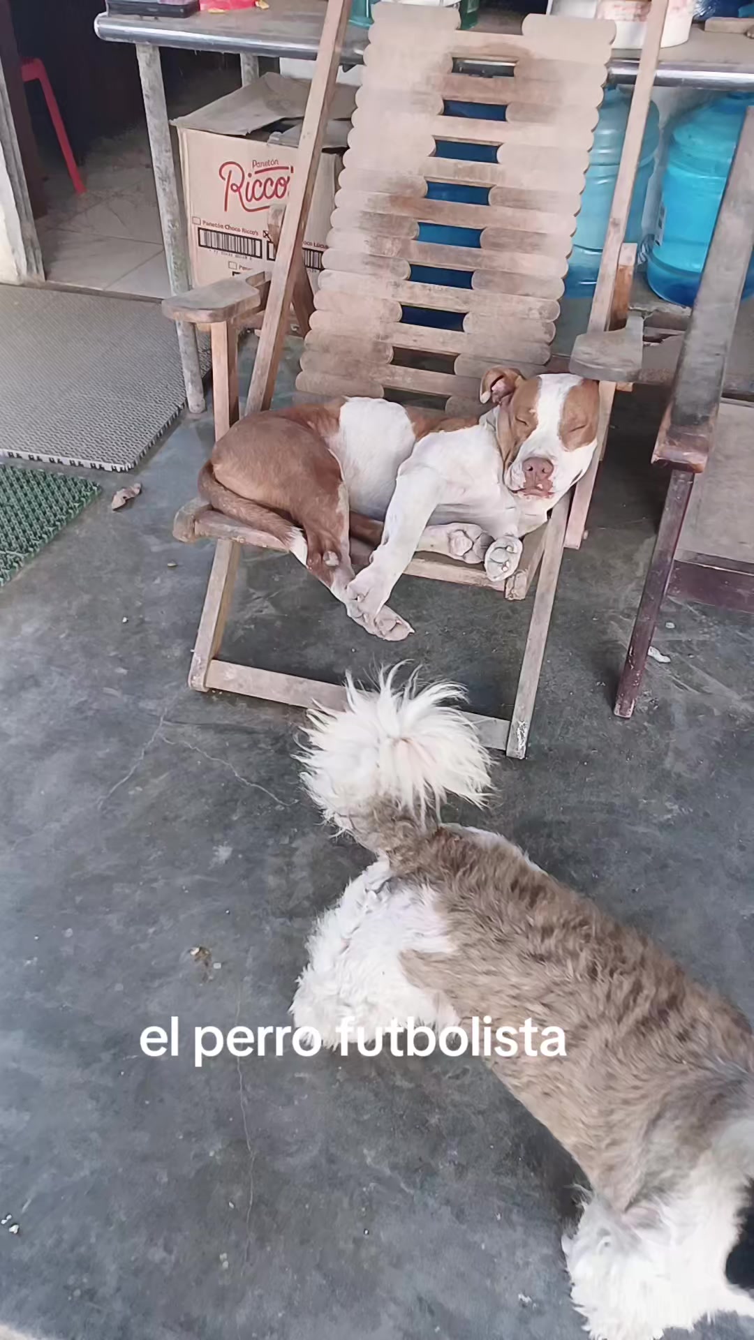 @EltioBaki