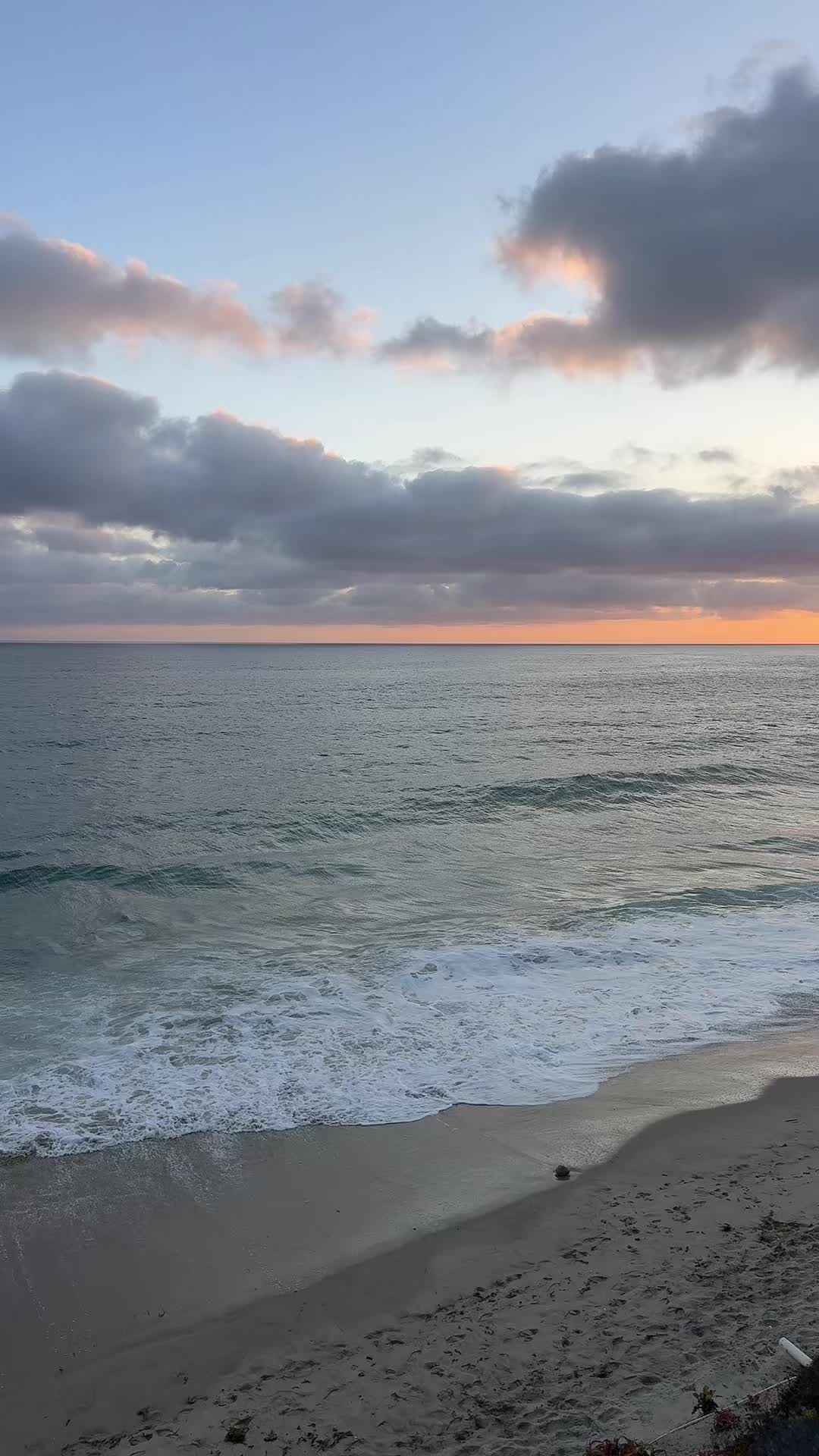 @˘ᵕ˘
