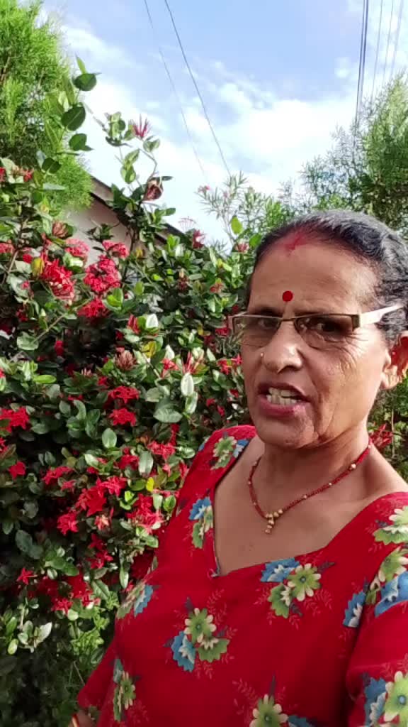 @kamalawagle00