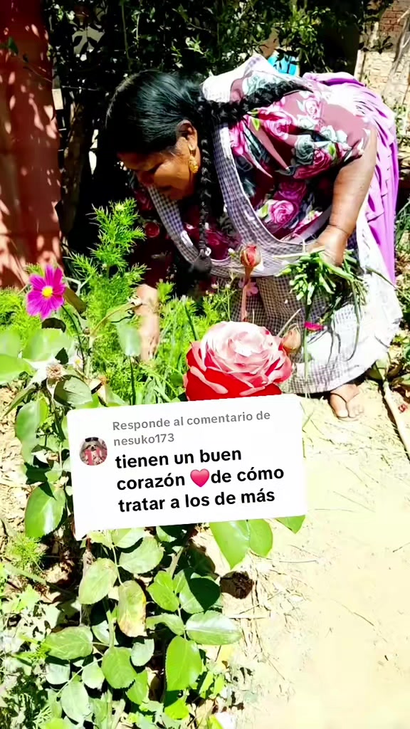 @cecilia