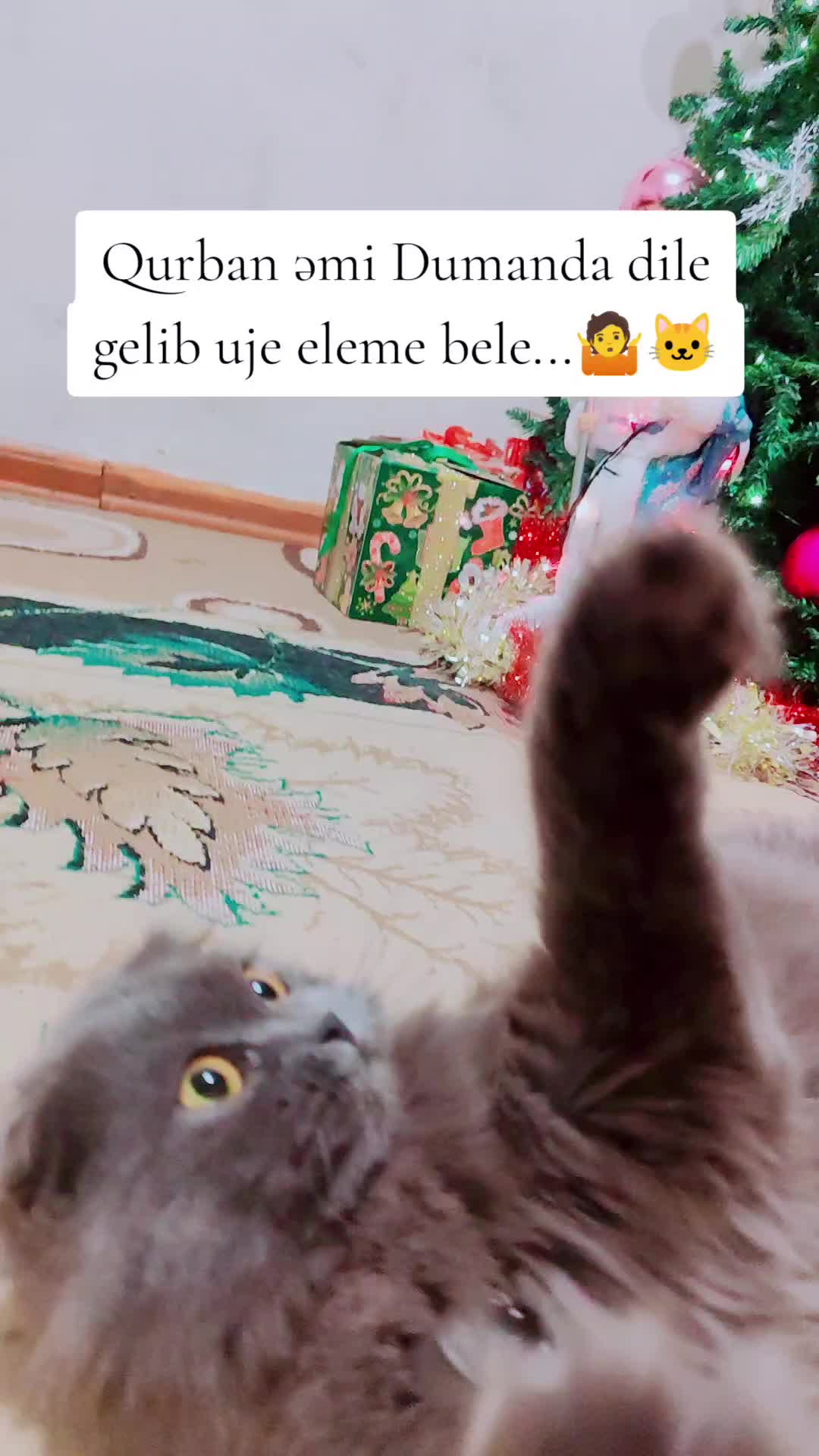 @duman_16.12.24