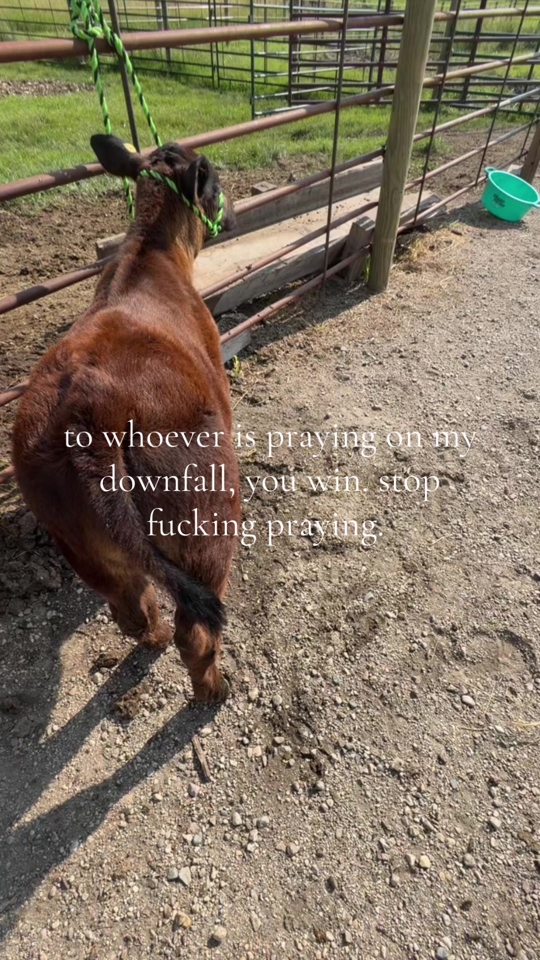 @Ella