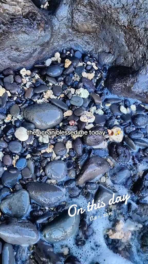 @Noe ๐ Shells