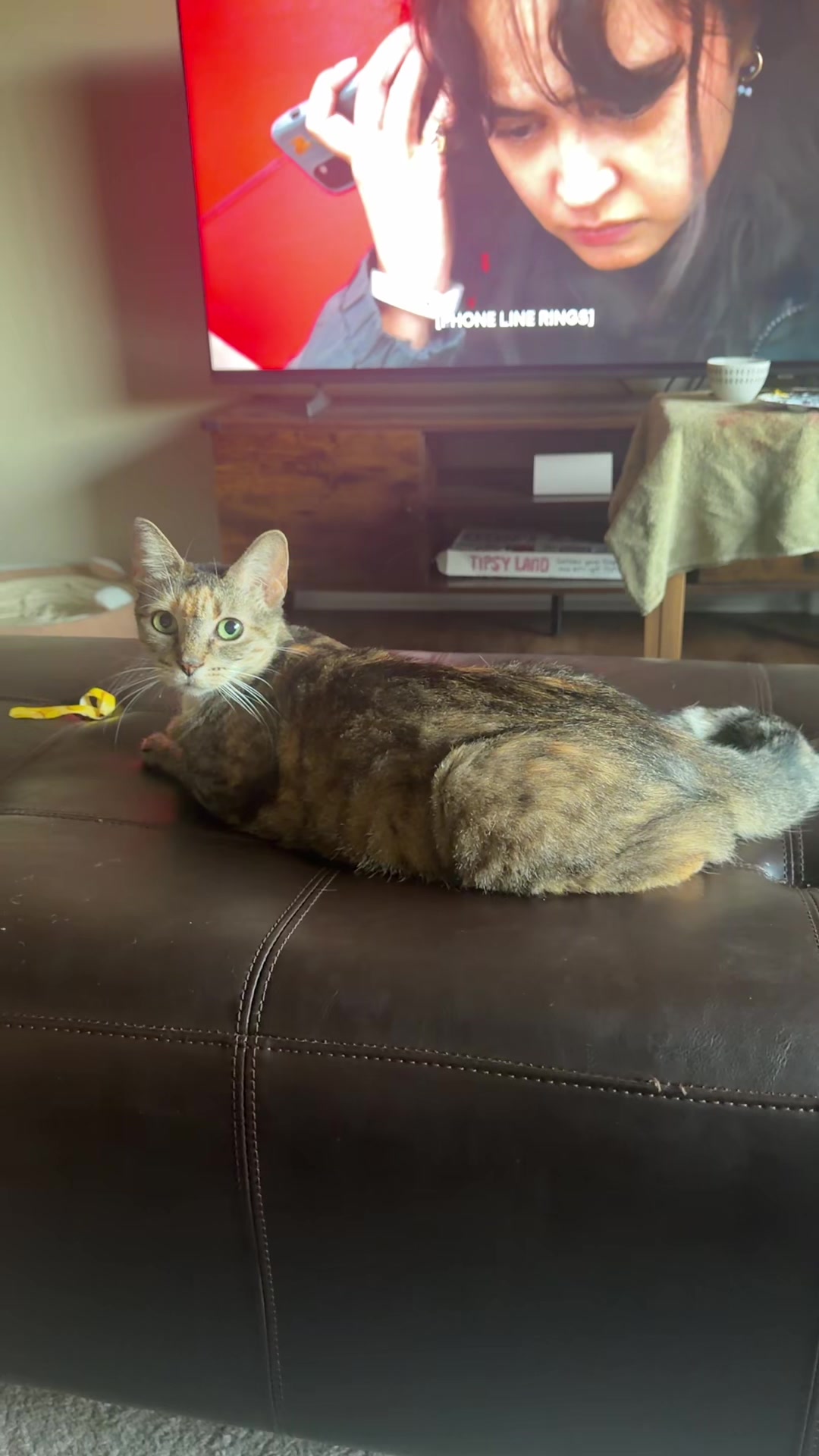 @Angie