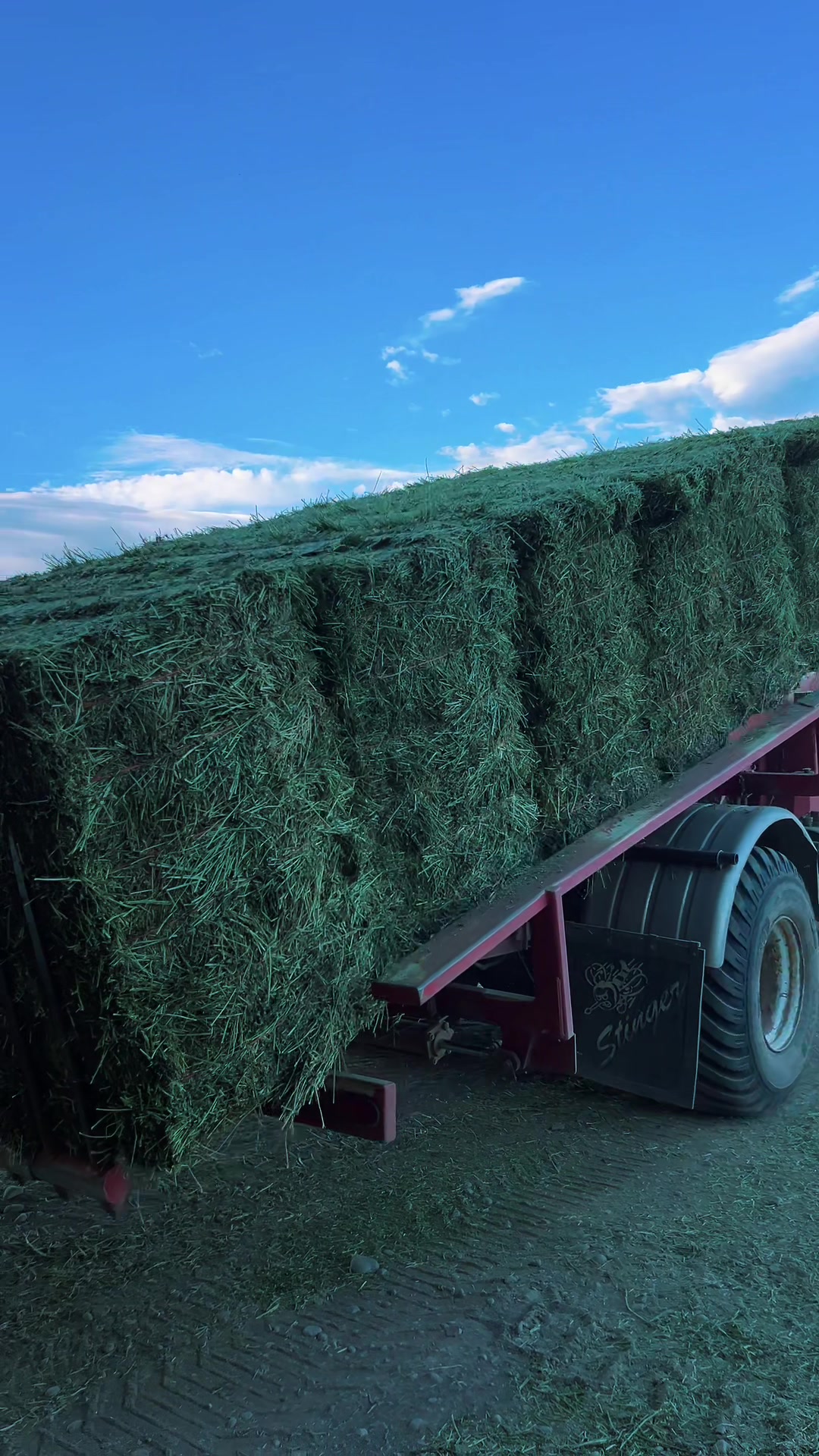 @Nic Thomas