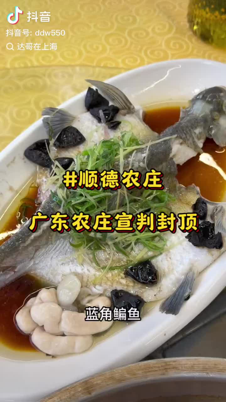 @达哥在上海
