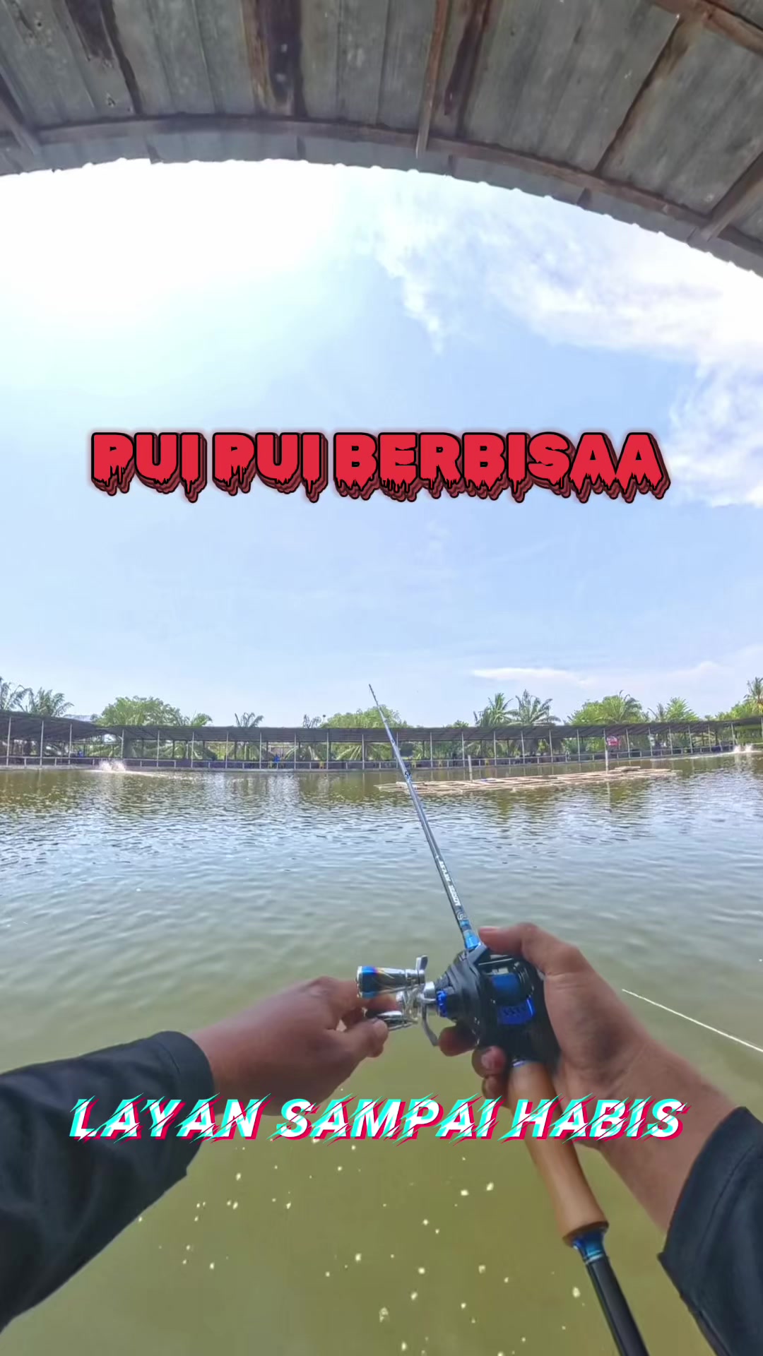 @M Z Reel 🎣