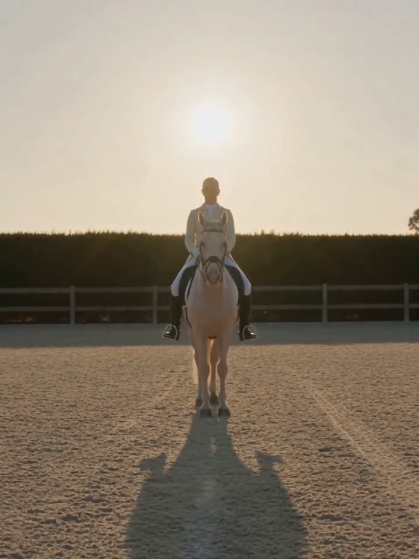 @DressageHub
