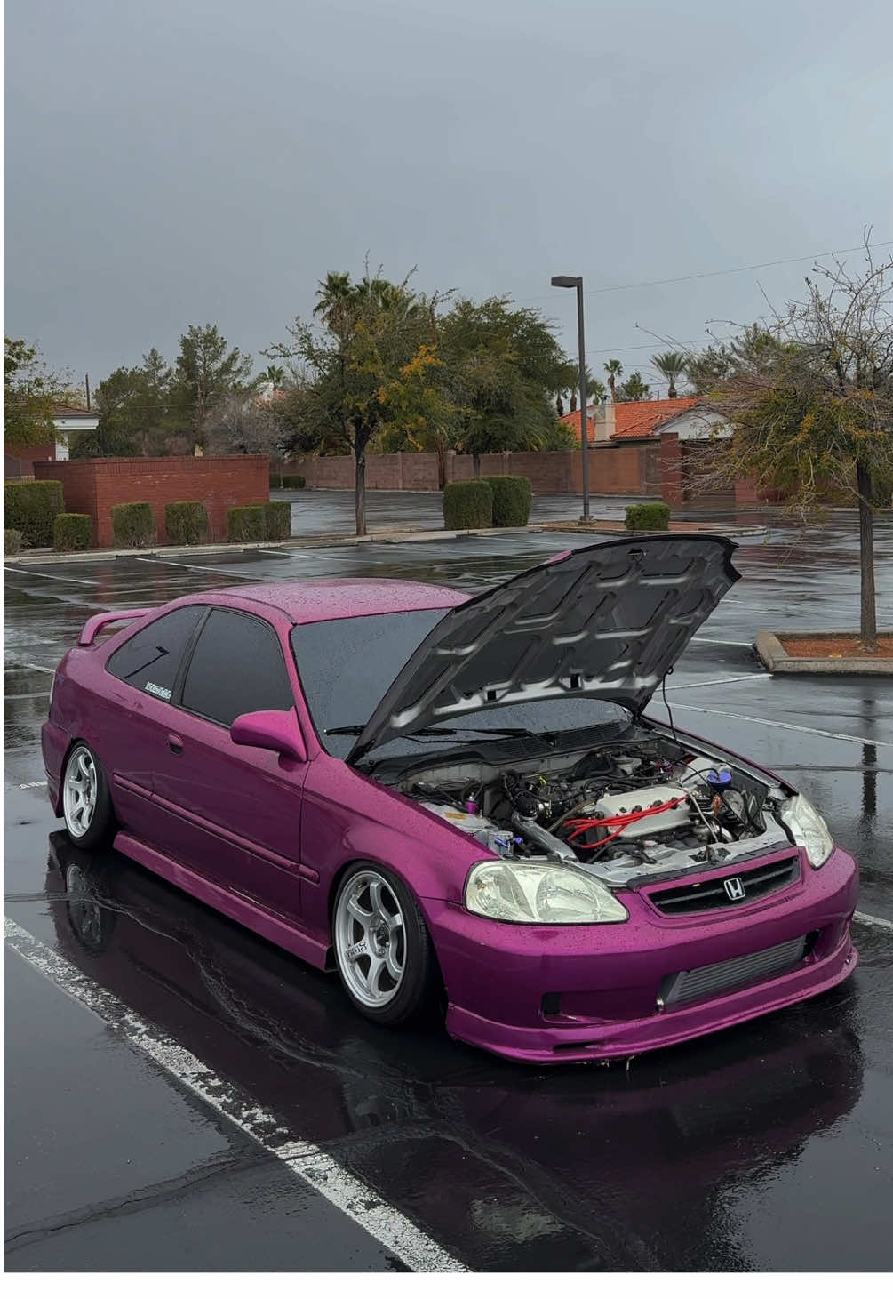 @RESTLESSRUDY 💰