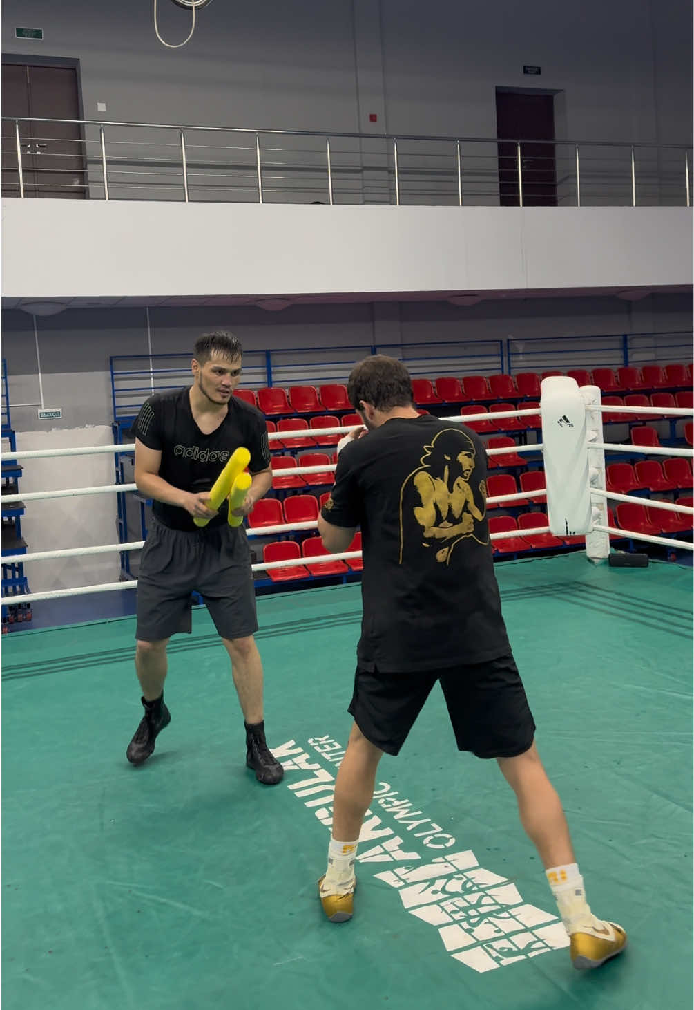 @emirboxing