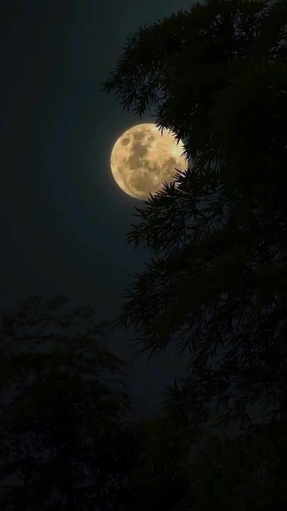 @๐ท.