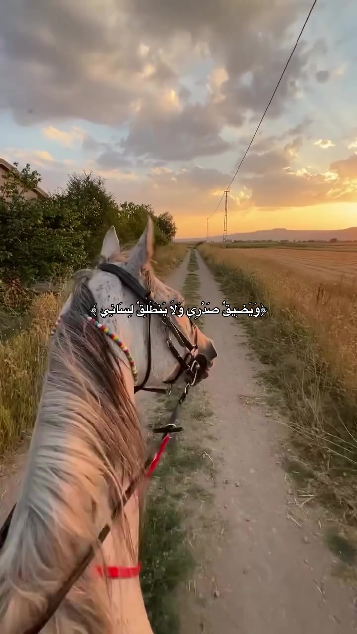 @حُب👸🏻