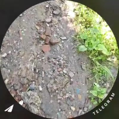 @smhk759