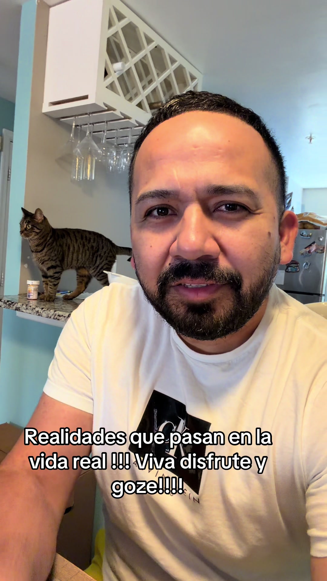 @Antonio 🐈🐈