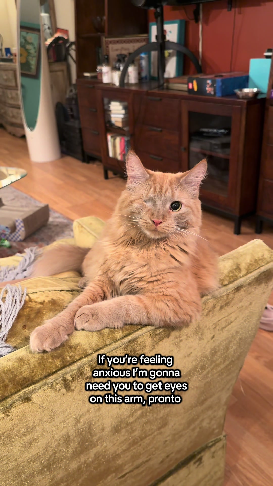 @Jamie Alyson Feldman