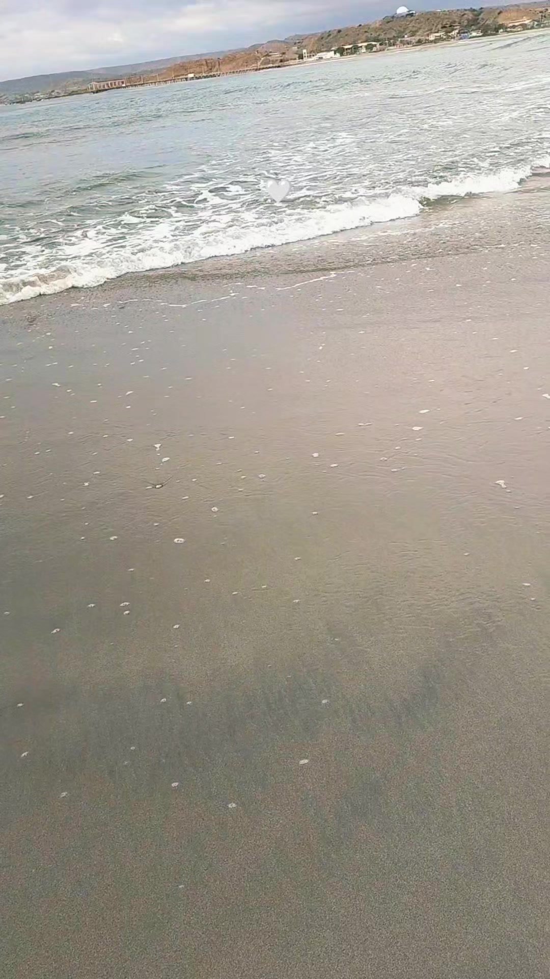 @🦋