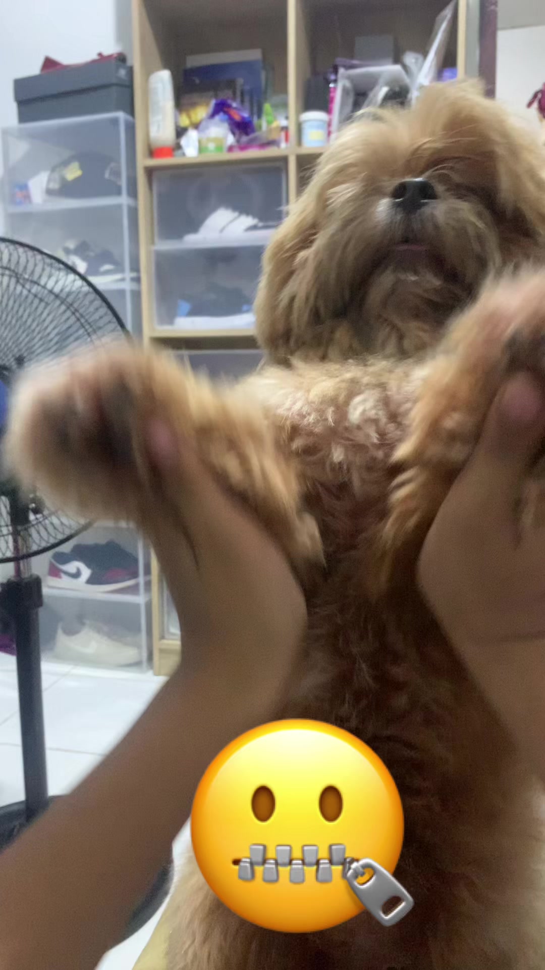 @«𝕭osṣ̌」