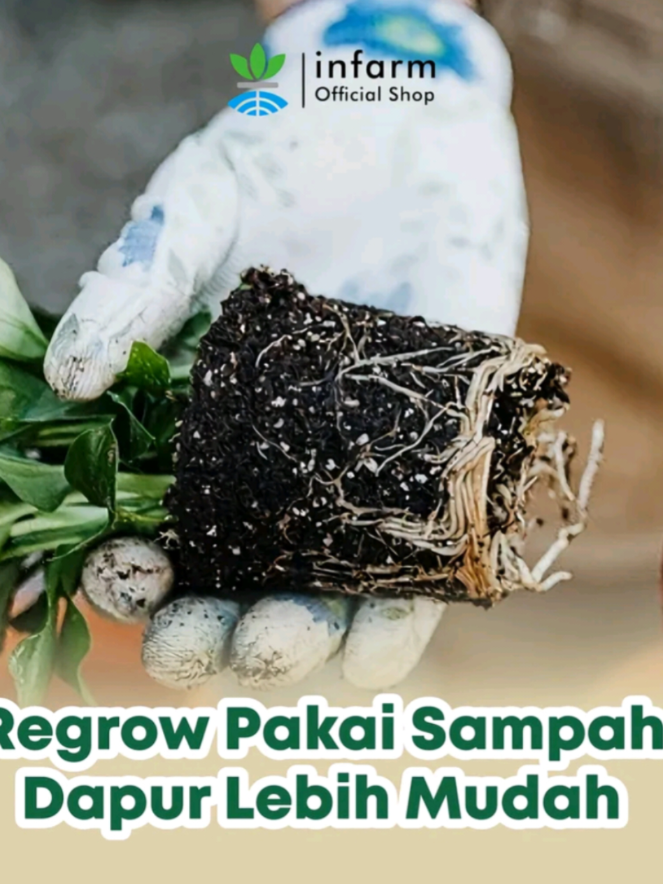 @Berkebun Berkah