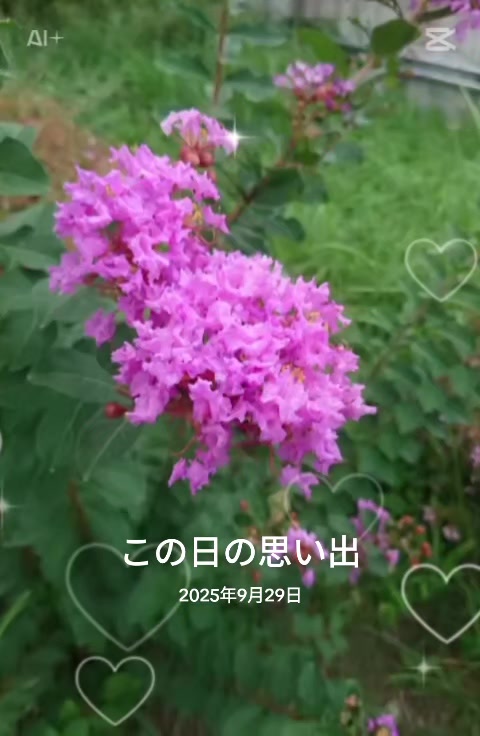 @ゆりちゃん🌠🌠