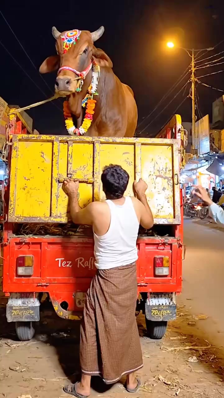 @Rashid Ali