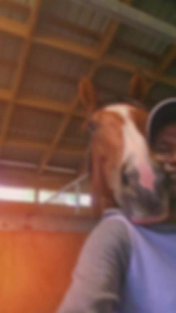 @kevin 🏆🏇🏇🏇🏆 🇸🇬🇲🇾🇳🇿