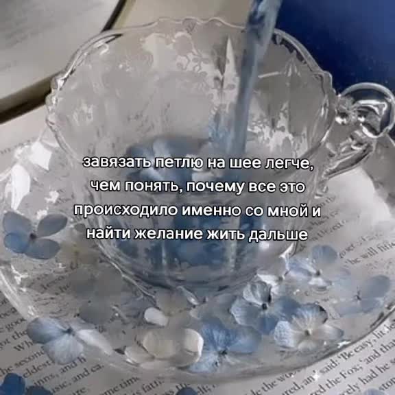 @мертвый кот
