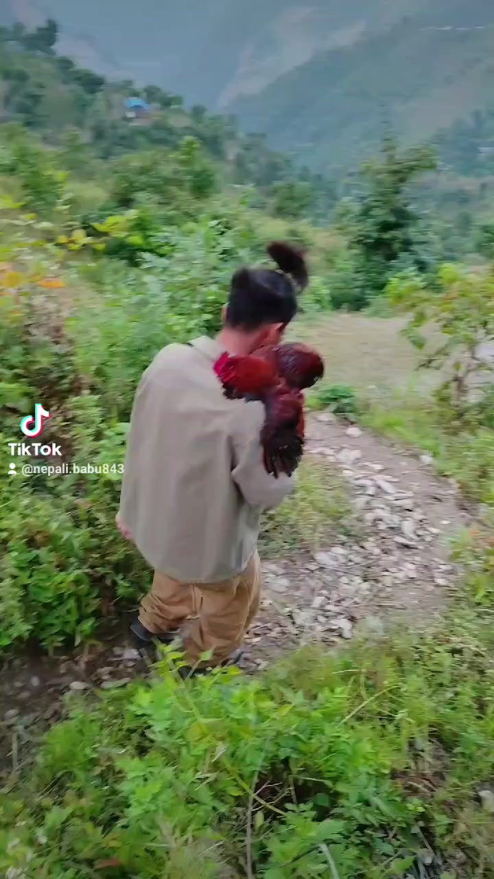 @nepali babu