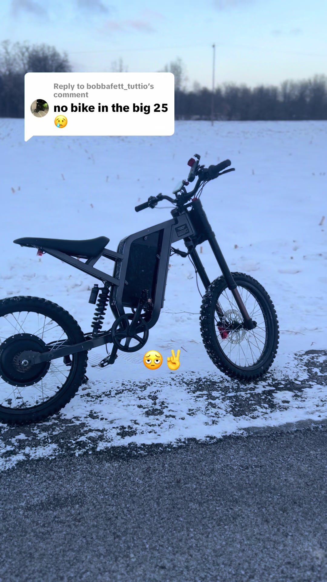 @Theeeepolarbearofficial