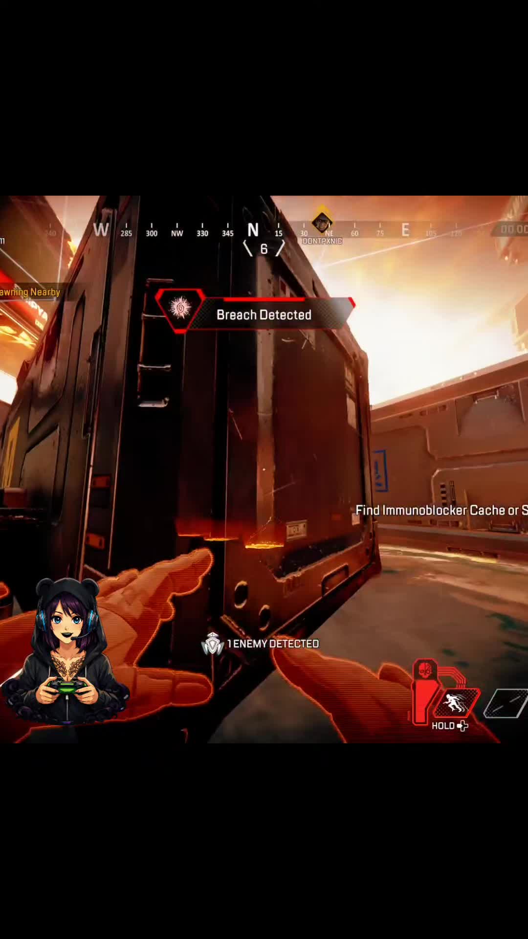 @Kbeargaming420🐻