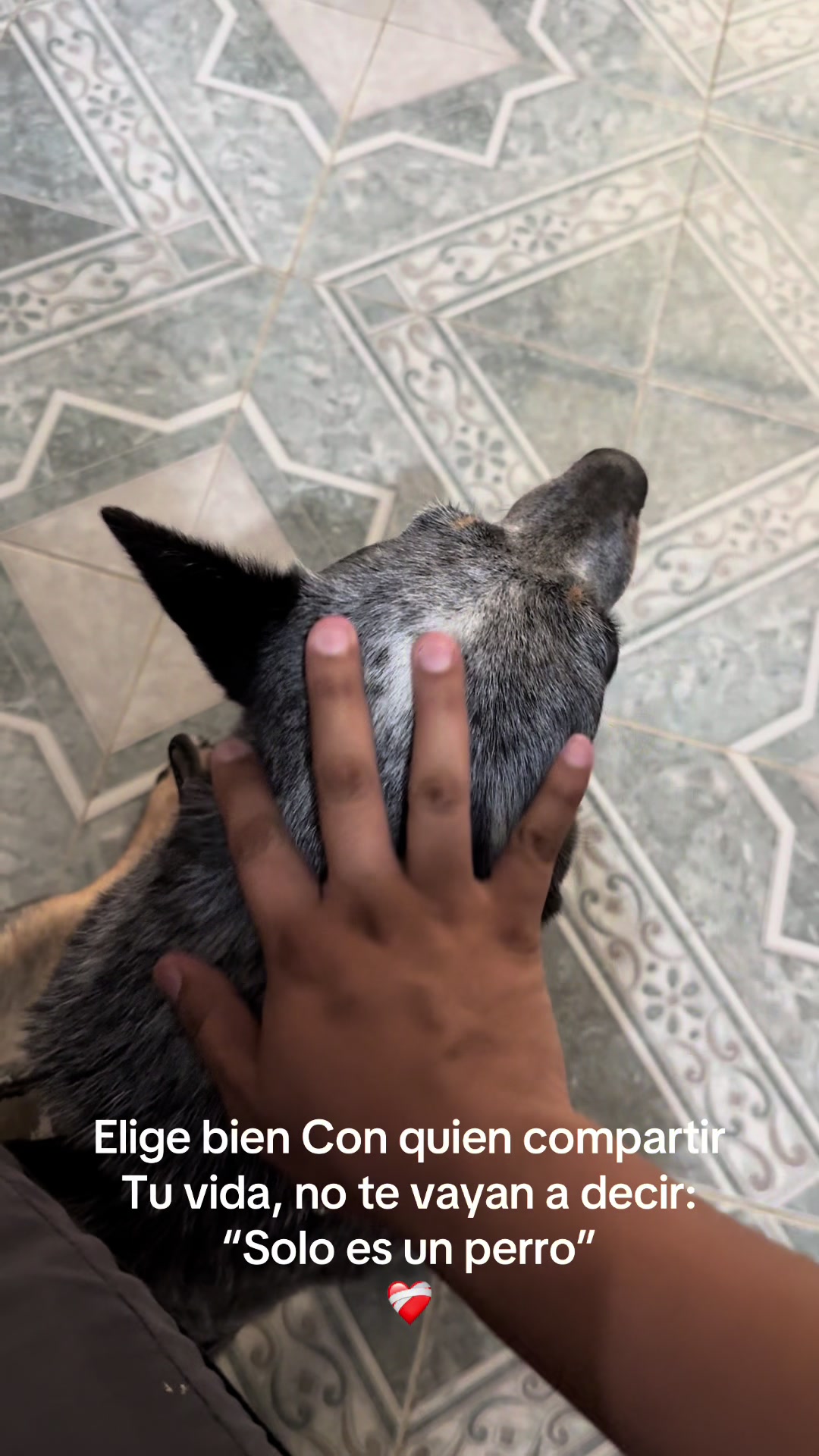 @Mau Velazquez