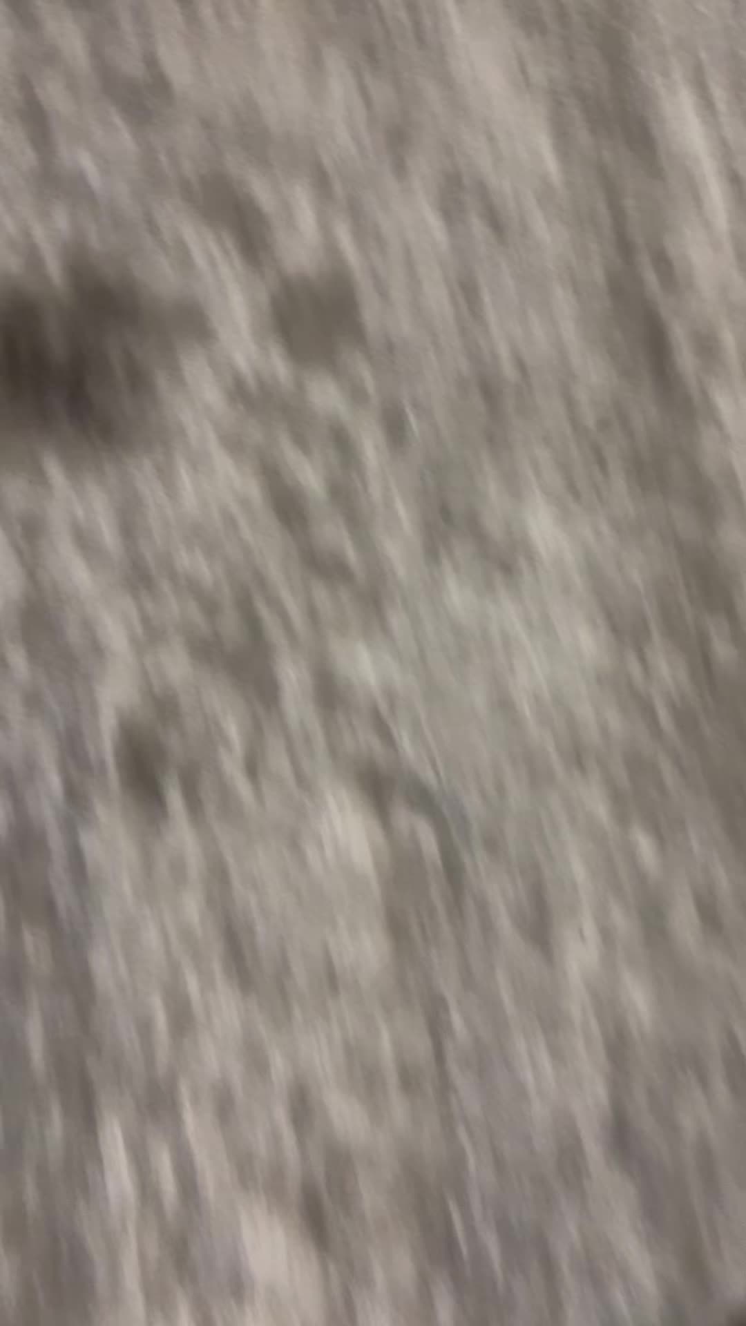 @Karissasanford