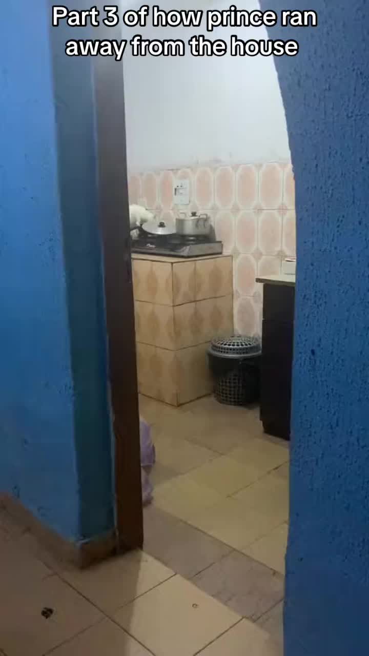 @Dera&rsquo;s cats🐈🐈🐈&zwj;⬛