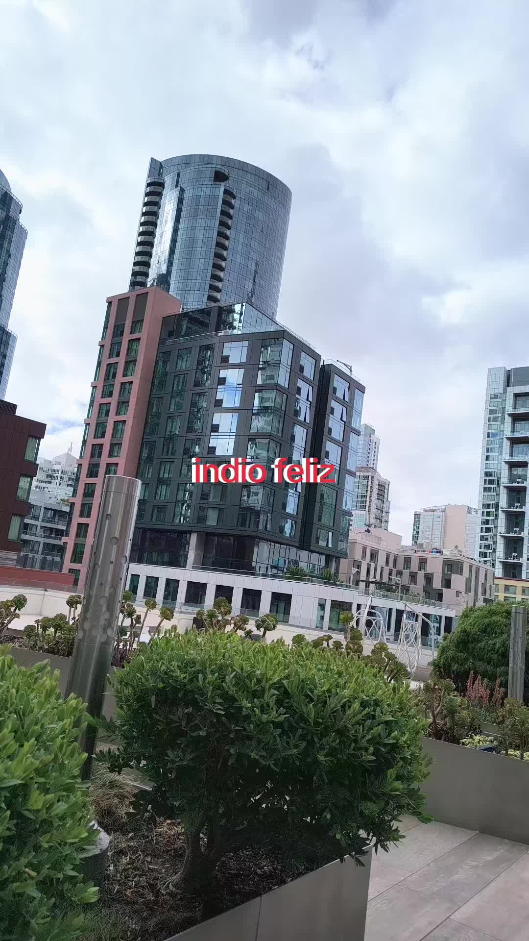 @mauro777