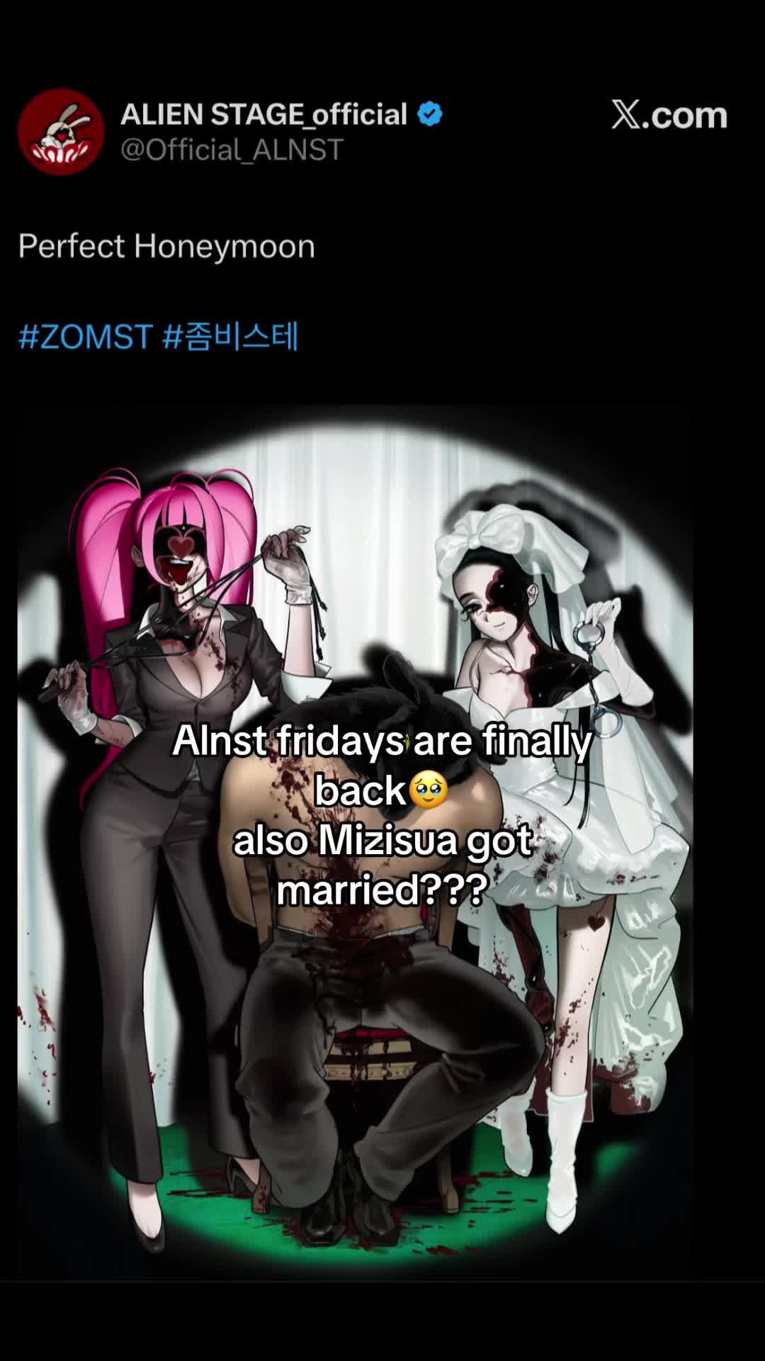 @vixen / N1 mizi fan
