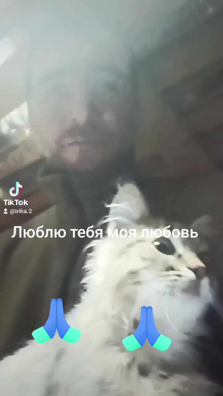@Ирина Кизина