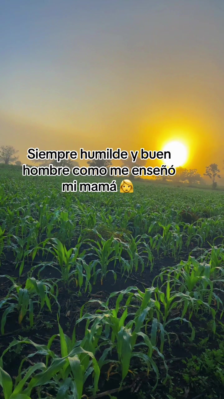 @Gustavo
