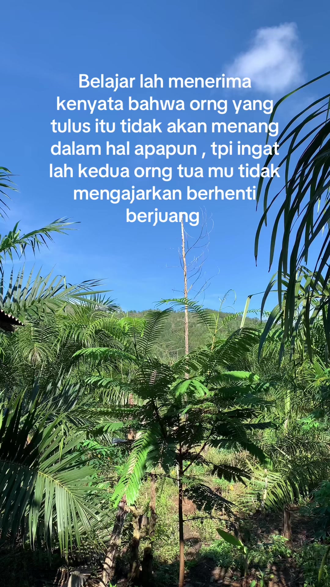 @@its.yun🥀🦁