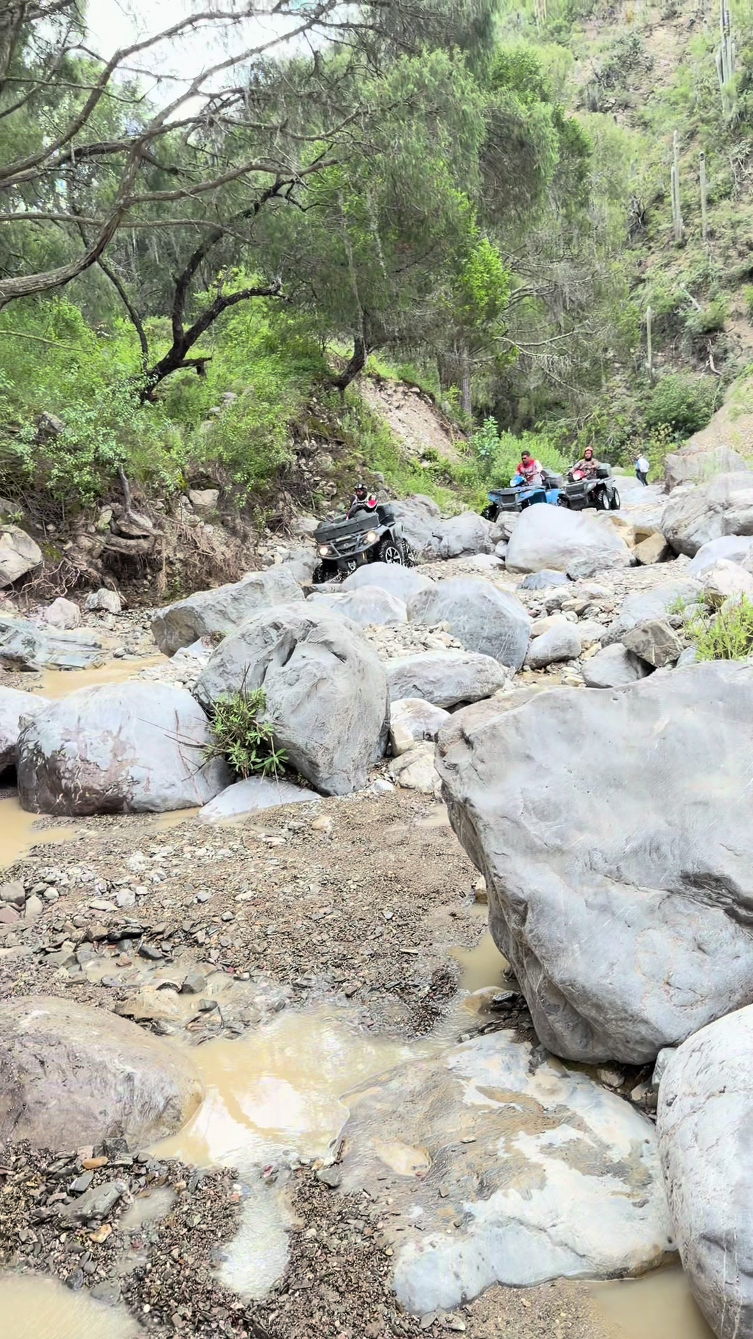 @Gonza Sober off Road