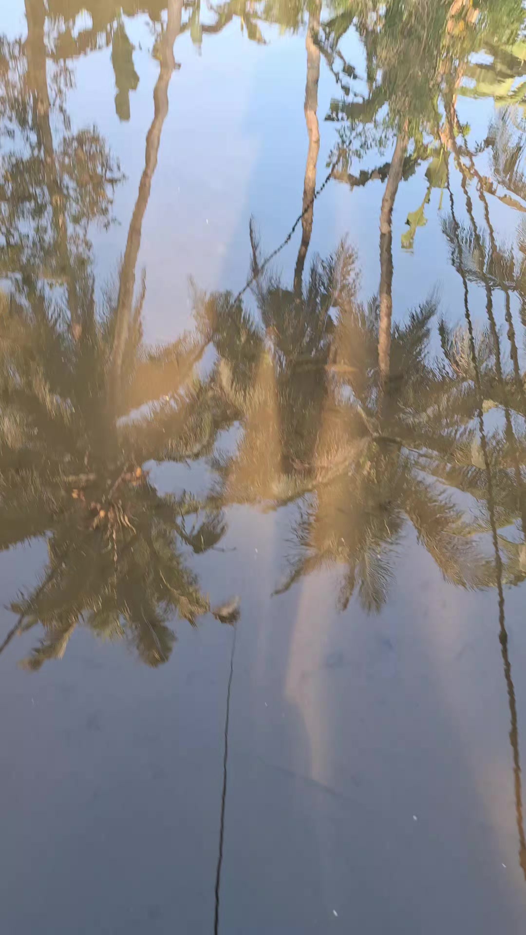 @Gasle Fishing