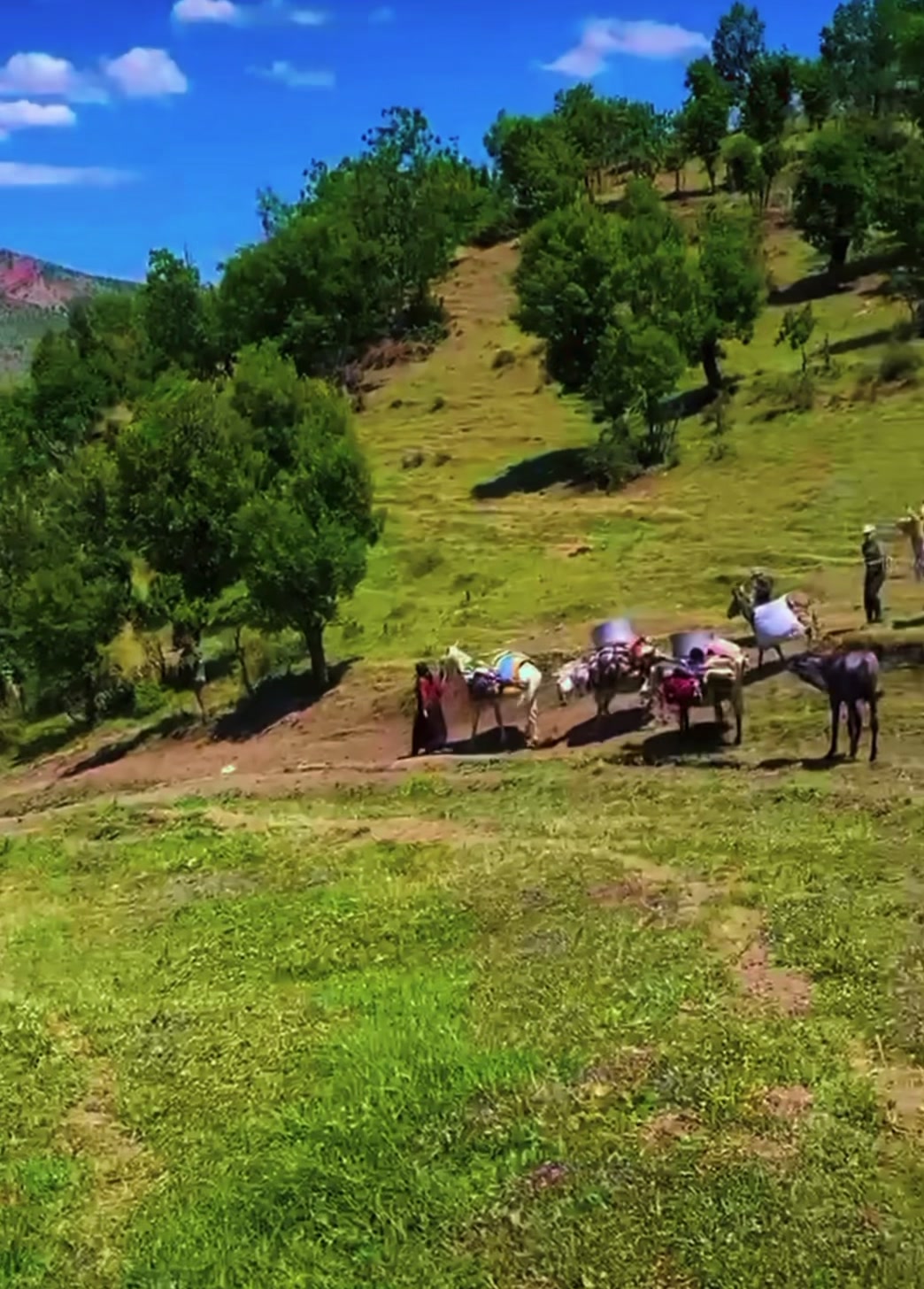 @ŞİYAR ✪
