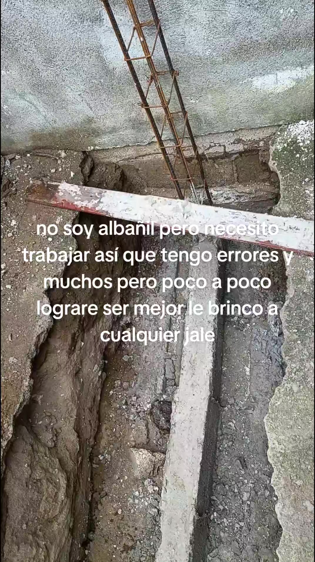 @negro jarocho