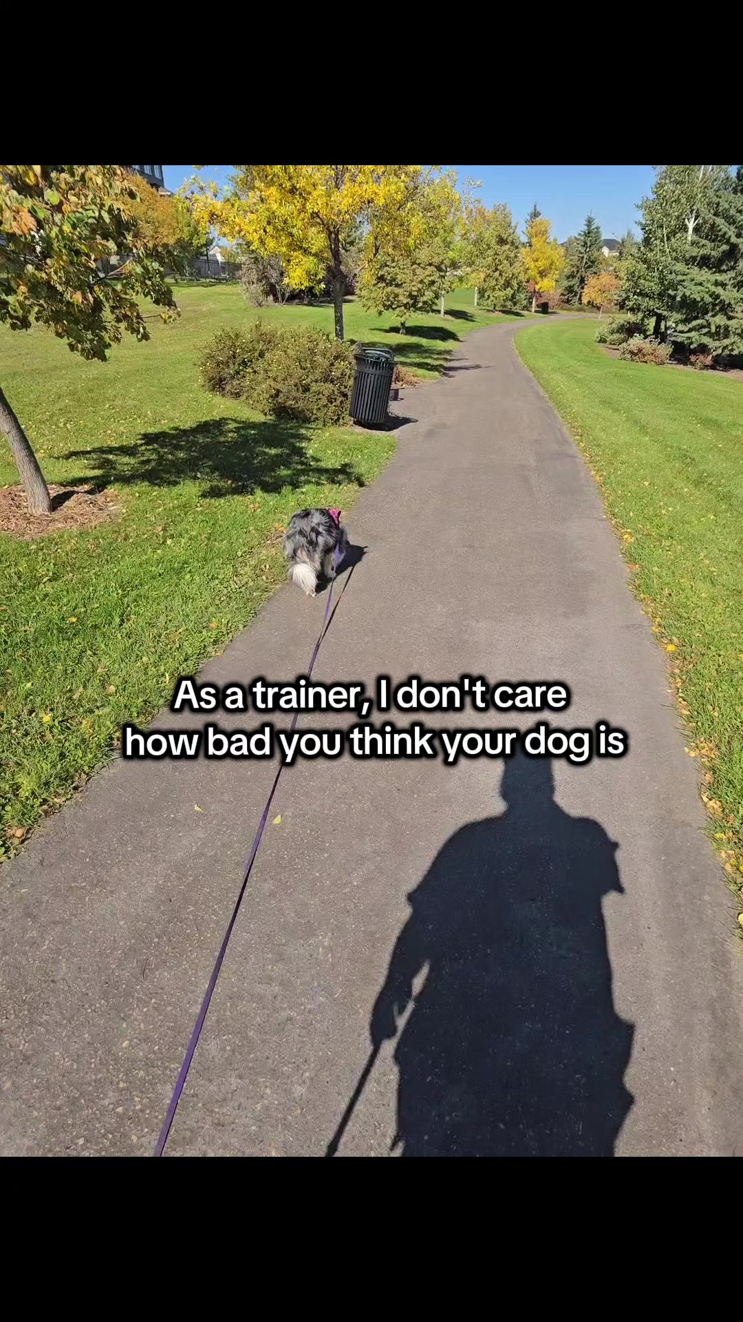@Kairo's K9s Training 🇨🇦