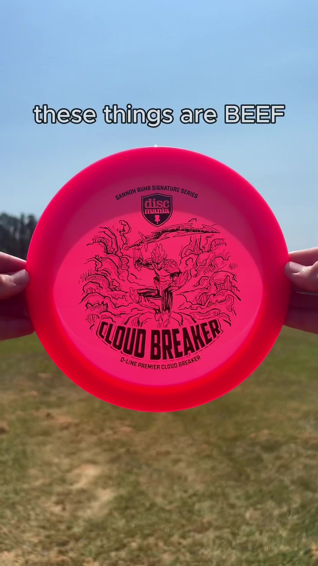 @Foundation DiscGolf