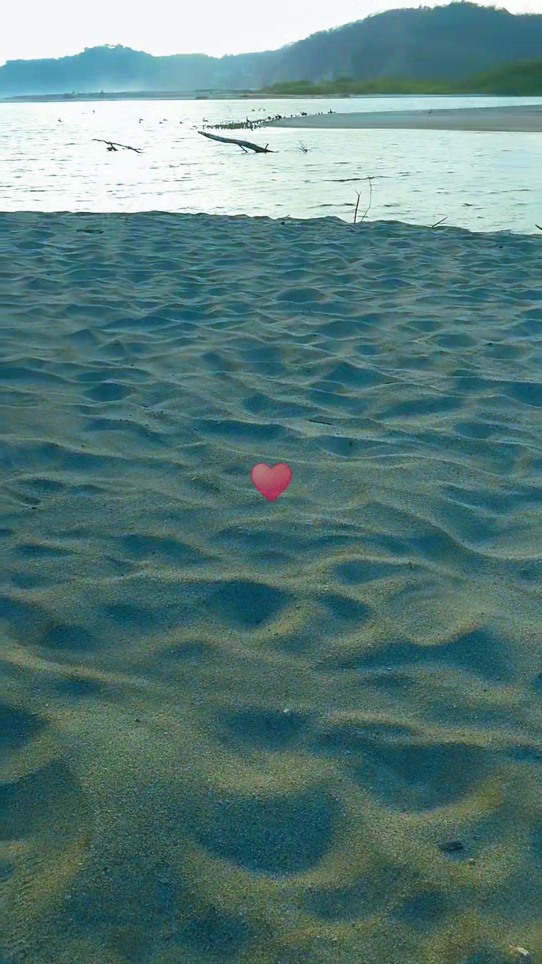 @diana_solana93