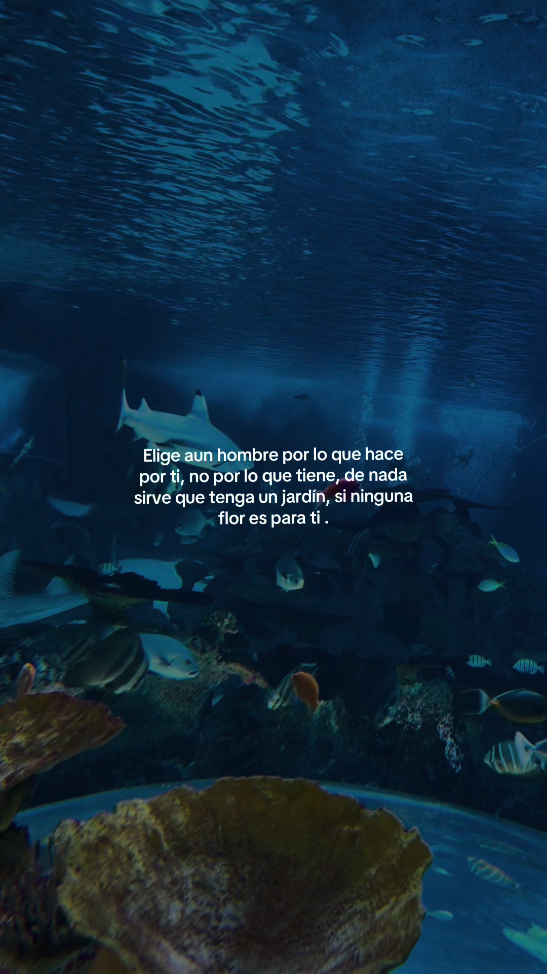 @•Zuly•