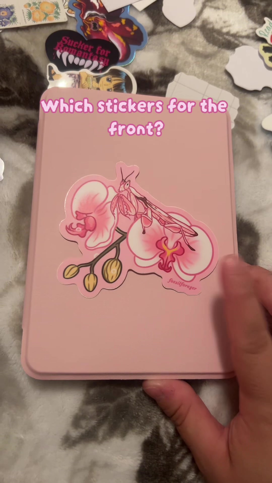 @Elyse